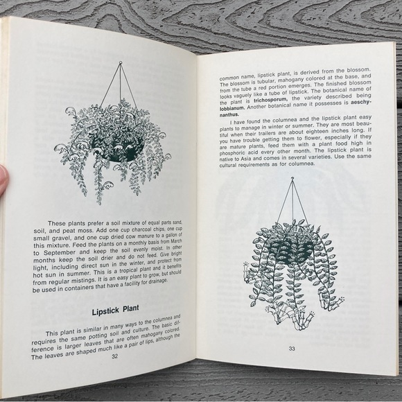 1973 Gardening with Hanging Baskets Rex E. Mabe Vintage Gardening Book Gift Idea - Picture 7 of 12
